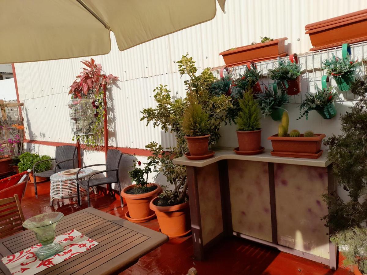 Vinarós La Terraza 아파트 외부 사진
